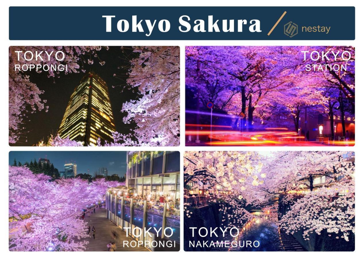 Nestay Inn Tokyo Otsuka 201 Exteriör bild